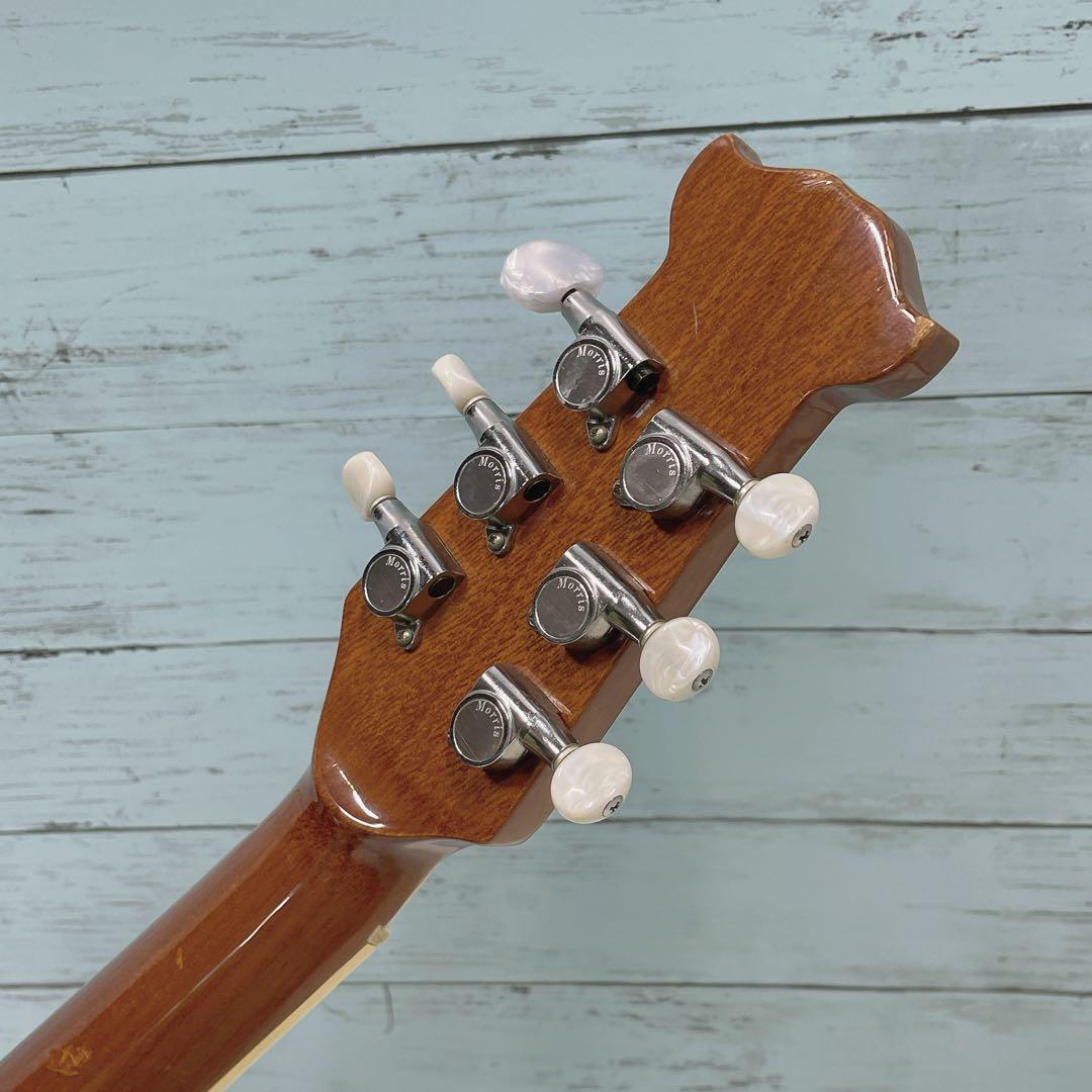 Tornado by morris LZ / 初心者向けエレアコ アコギ ギター