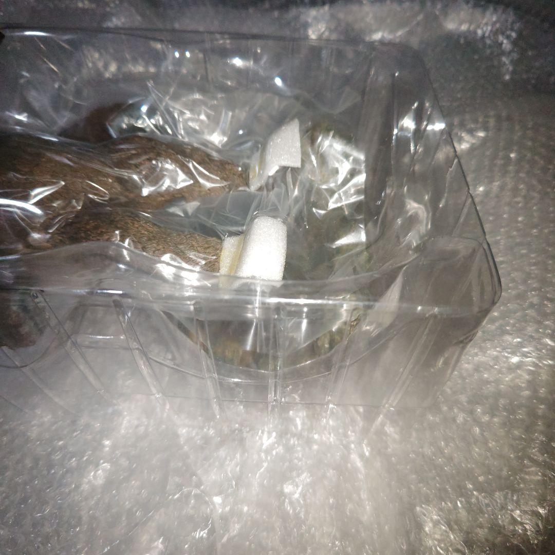 スターエーストイズ　コング　KONG　キングコング　フィギュア　DX