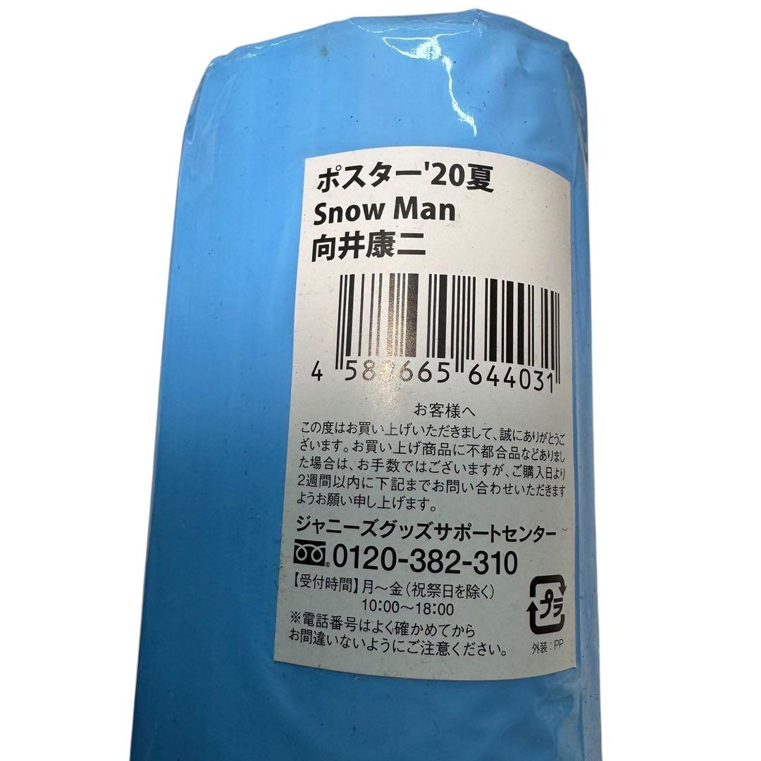 Man 向井康二　グッズまとめ　アクスタ4体　うちわ　公式フォト93枚他