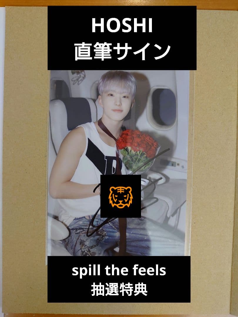 seventeen セブチ spill the feels 直筆サイン入り生写真