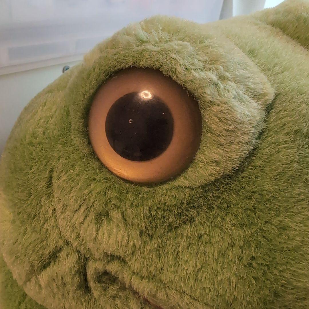 プレイトーキン　カエルのパペット