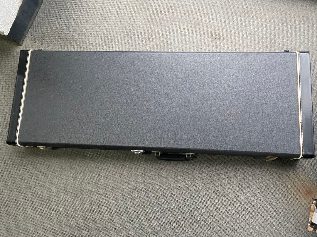 値下げ BACCHUS BSM-STD/RSM/FR ハードケース別売り