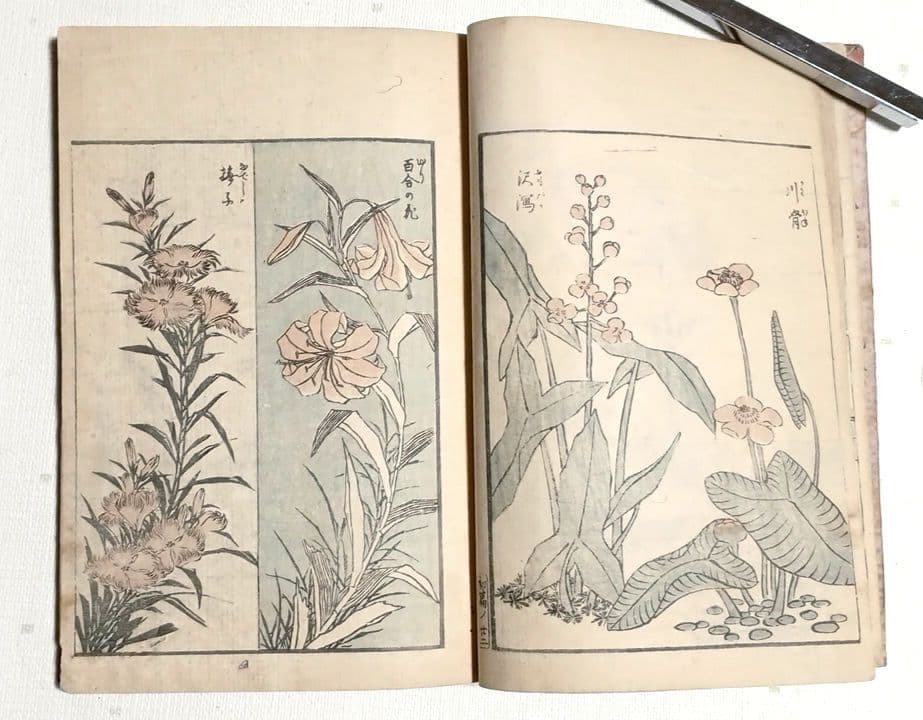 傳神開手北斎画宛三編全（色摺版画本)い葛飾北斎画 江戸版（嘉永2年