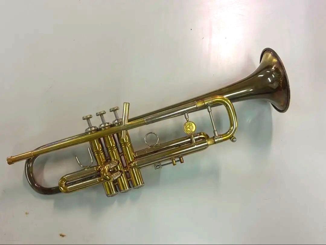 Holton T101 カスタム