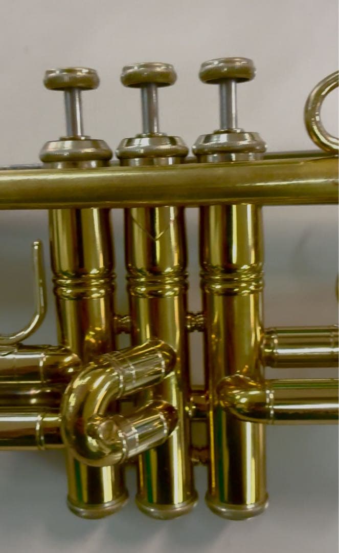 Holton T101 カスタム