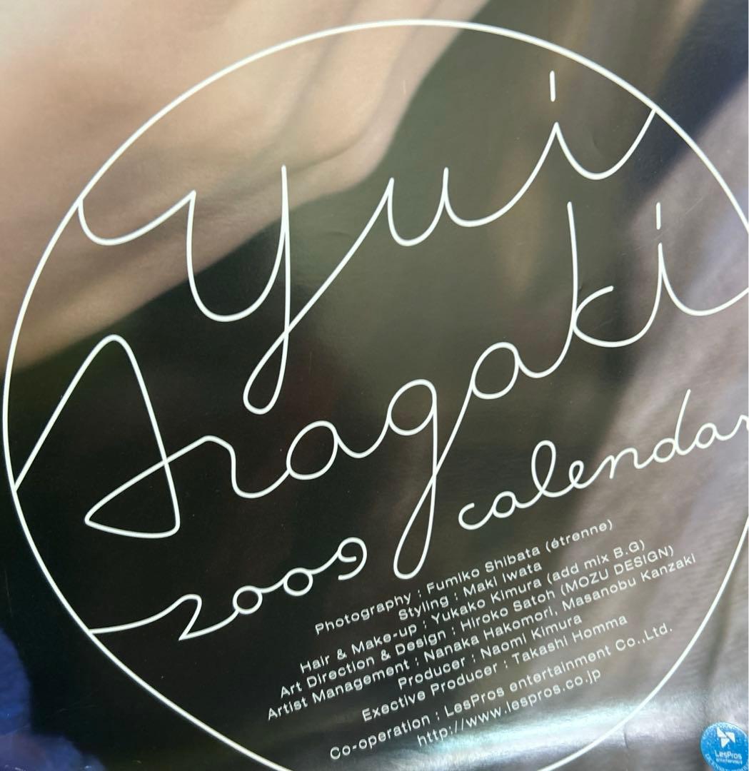 カレンダー 新垣結衣 2009年 B2サイズ×8枚 - メルカリ