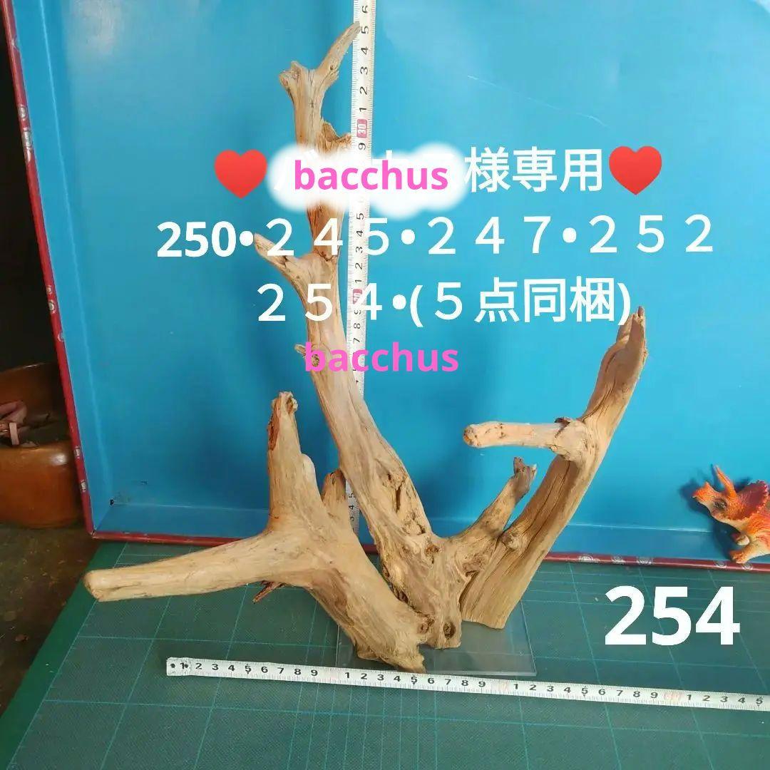 ブルドッグ用リメイクスカジャン リバーシブル テーラー東洋スペシャル