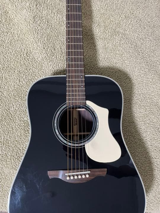 HISTORY ヒストリー NT-L3 Vintage Natural エレアコギター オール単板