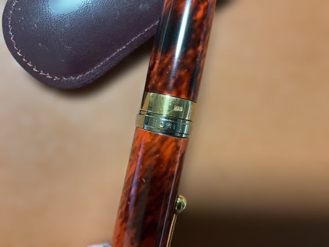 大橋堂　万年筆　エボナイト　ペン先21K ケースつき