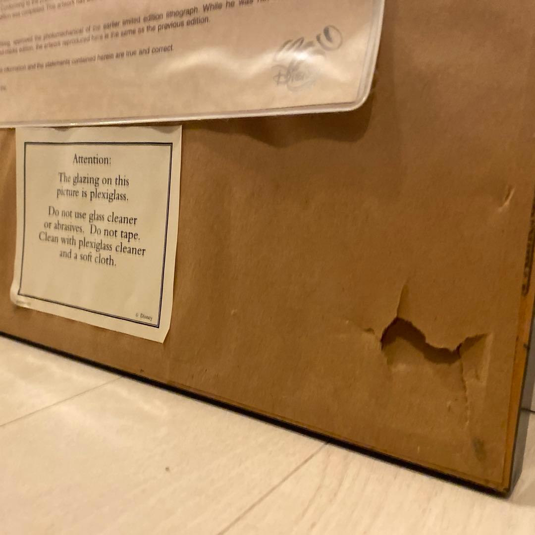 ディズニーワールド25周年7500枚限定シルクスクリーン