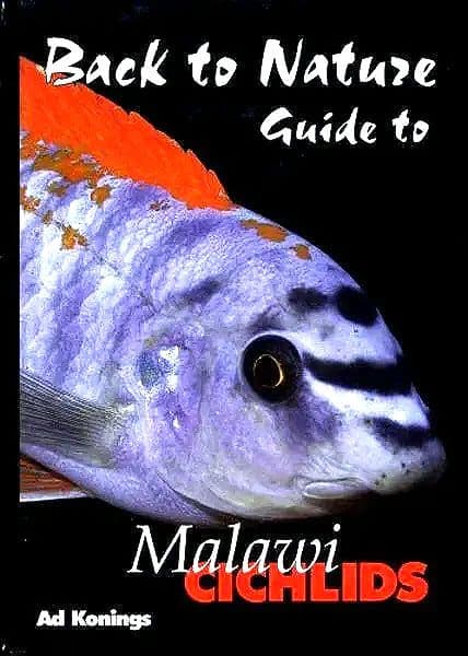 洋書Lake Malawi Cichlids マラウイ シクリッド