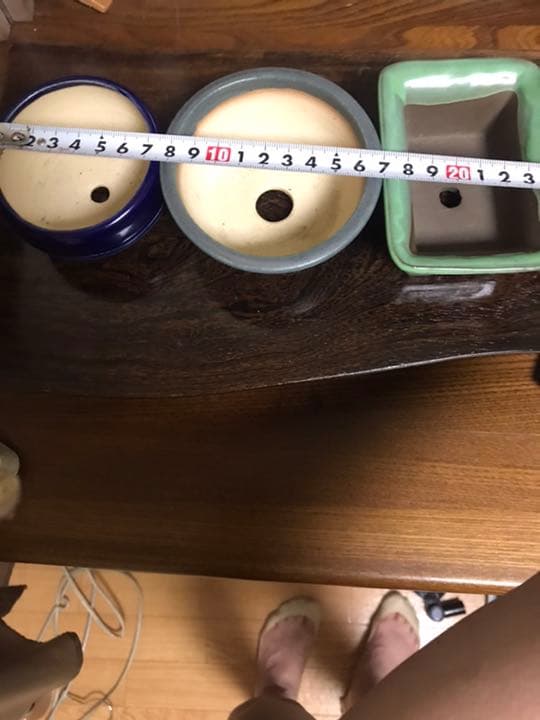 盆栽鉢美品ミニ盆栽鉢美豊光山他、緑長方鉢多肉植物サボテン山野草、名品展出品記念鉢