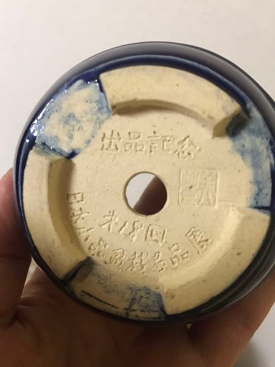 盆栽鉢美品ミニ盆栽鉢美豊光山他、緑長方鉢多肉植物サボテン山野草、名品展出品記念鉢