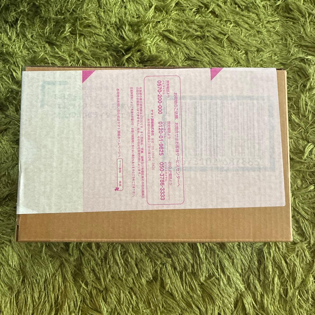 S.H.Figuarts 真骨彫製法 仮面ライダー1号 （桜島Ver.）