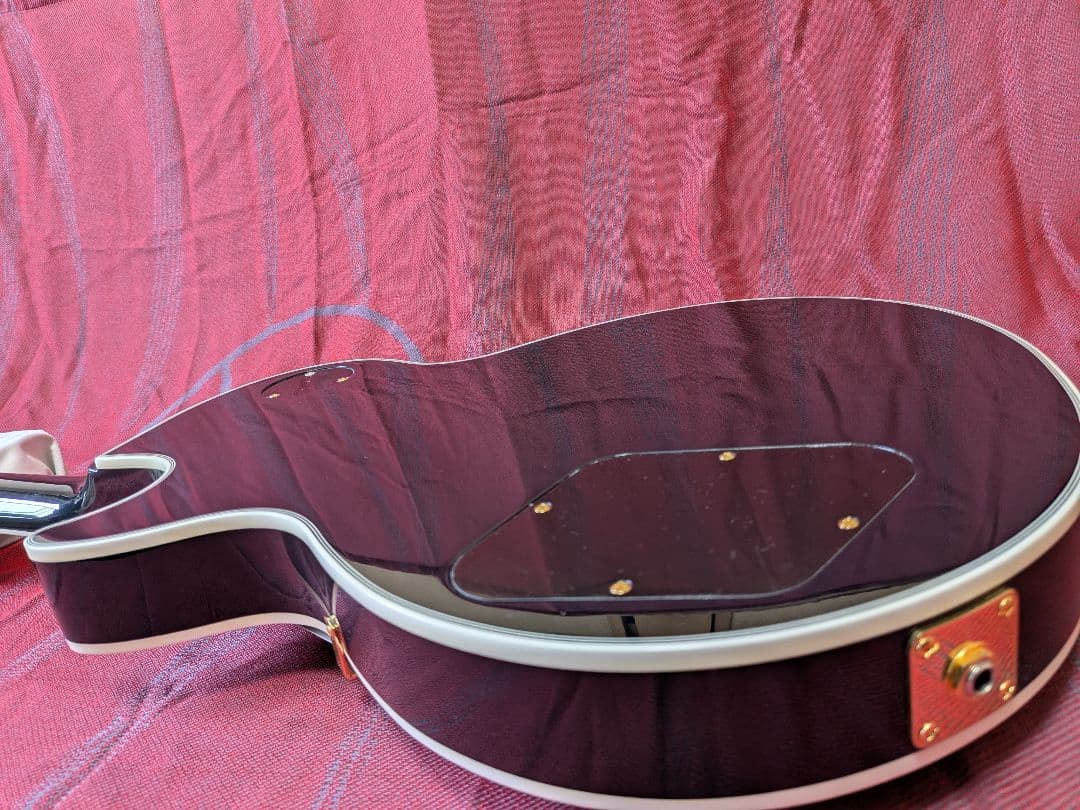 【美品】Fujigen fgn NLC200EMH レスポールタイプ