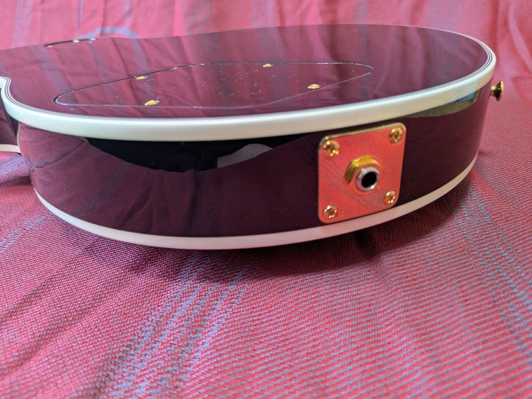 【美品】Fujigen fgn NLC200EMH レスポールタイプ