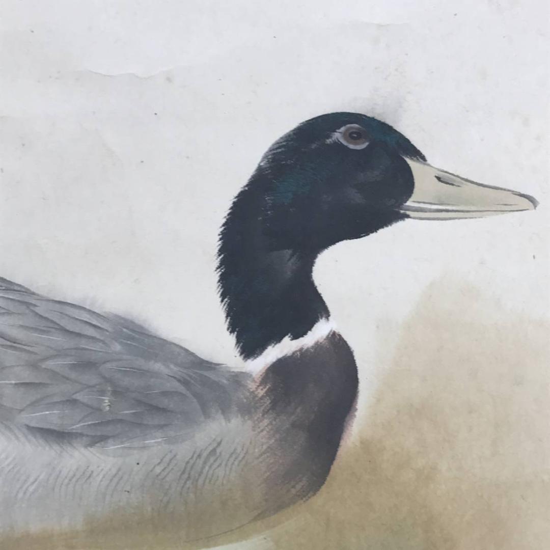 【真作】山内信一/双鴨図/横物/掛軸☆宝船☆AD-567