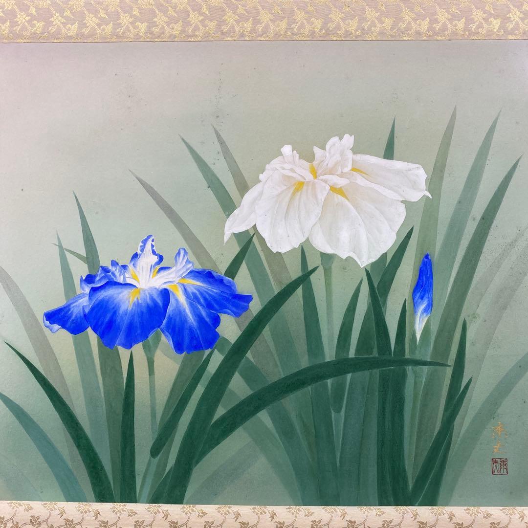美品 掛け軸 鈴木康夫作 菖蒲図 共箱 太巻き付 夏掛け 掛軸