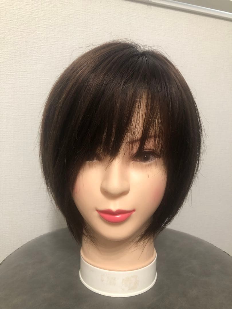 人毛王道ショートウィッグ ブラウン　未使用