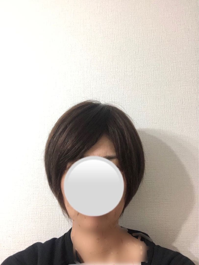 人毛王道ショートウィッグ ブラウン　未使用