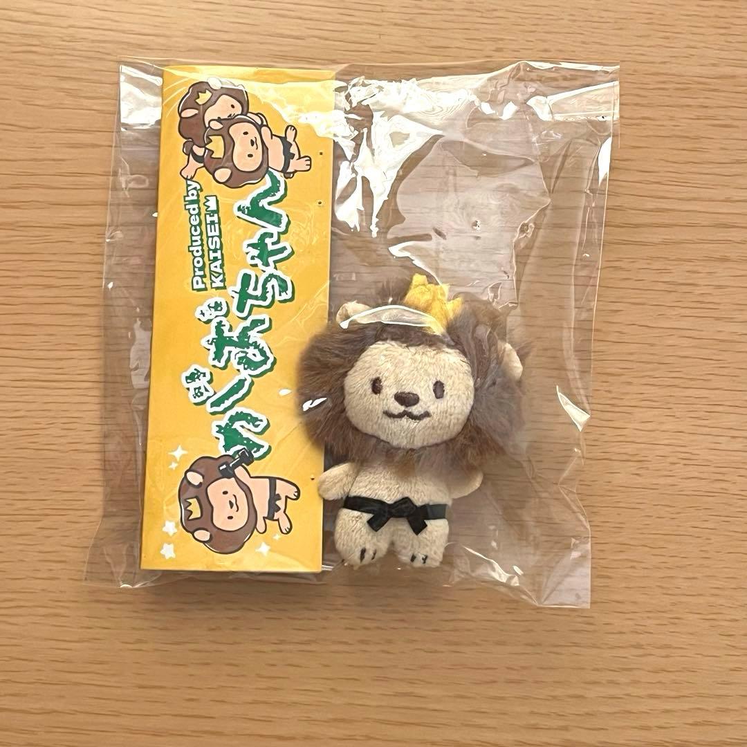 THE RAMPAGE 武知海青 がおちゃん メンプロ 匿名配送 S115587023