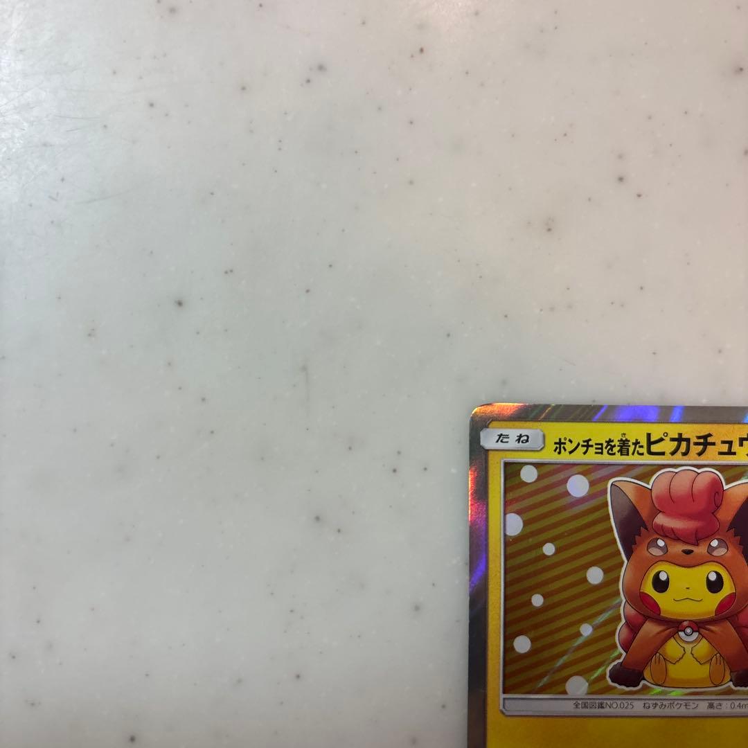 に*中様 ポンチョを着たピカチュウ　ロコン