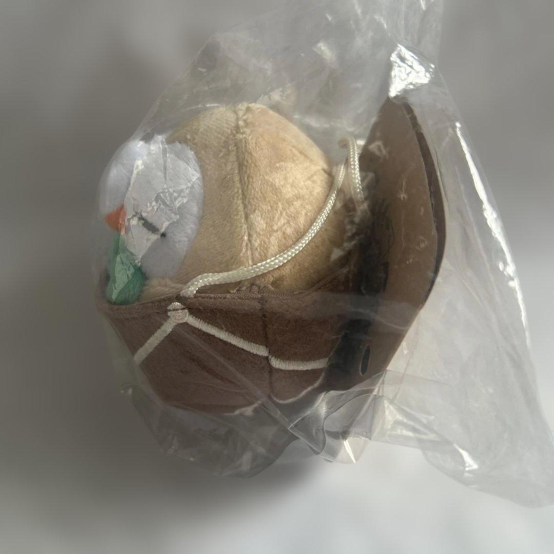 Pokémon Grassy Gardening モクロー