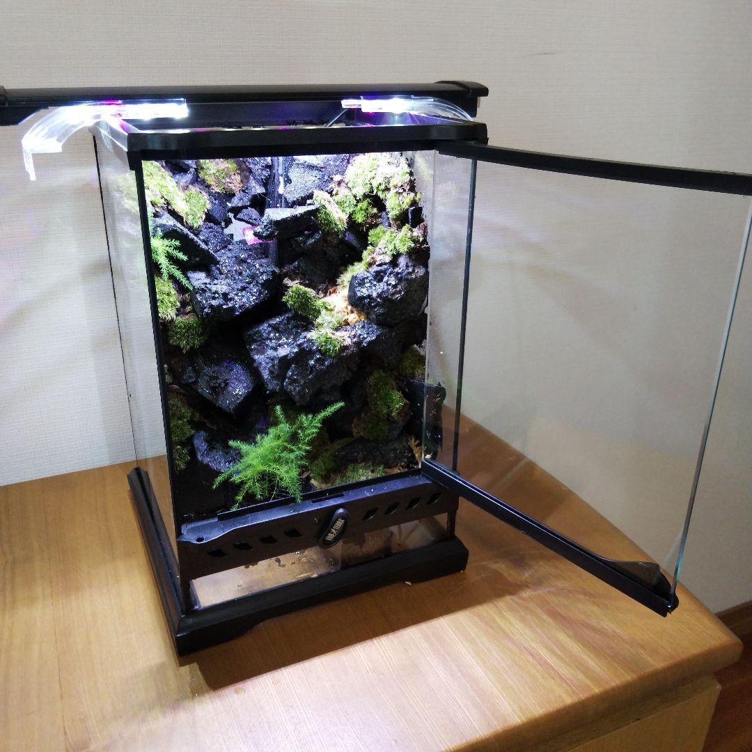 受注生産】アクアテラリウムカニリウムイモリウム苔水槽苔テラリウム