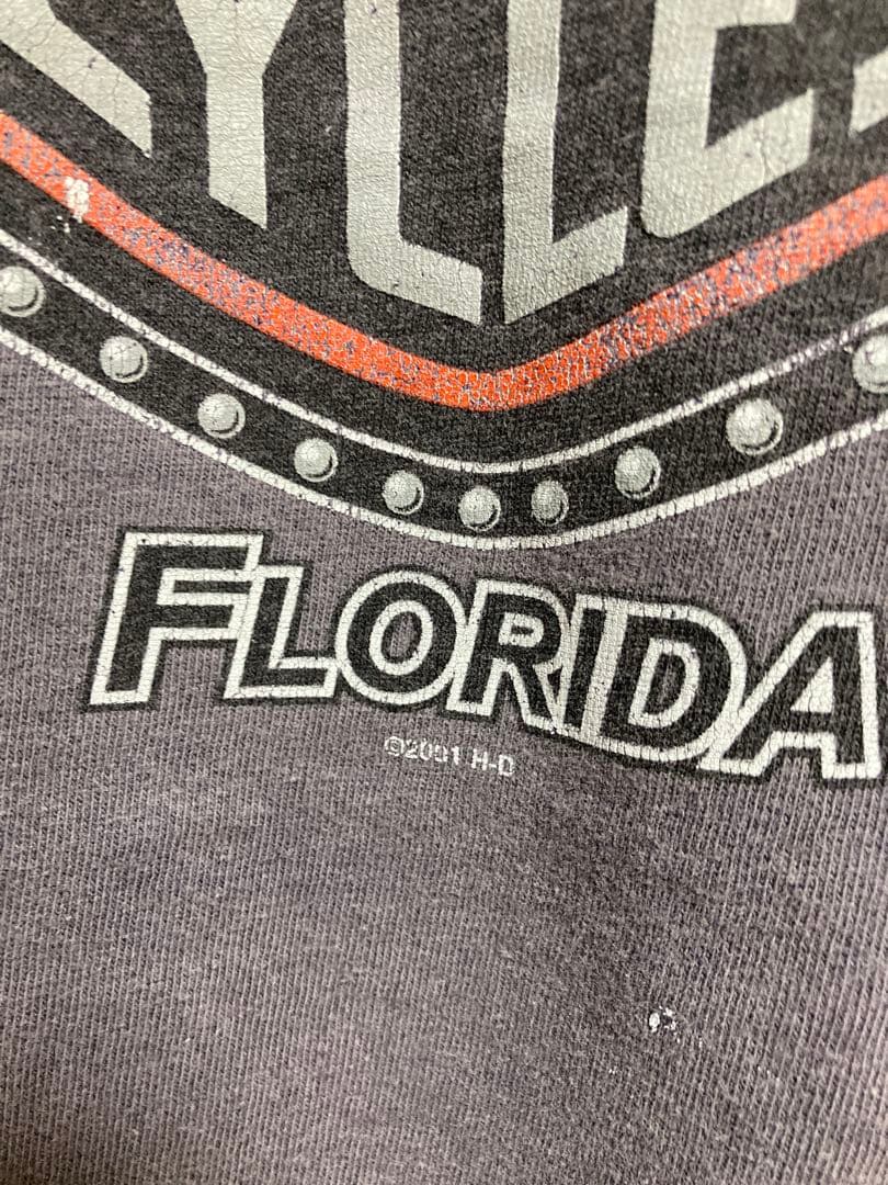 雰囲気◎2001 Harley-Davidson エンジン フレイム Tシャツ - メルカリ