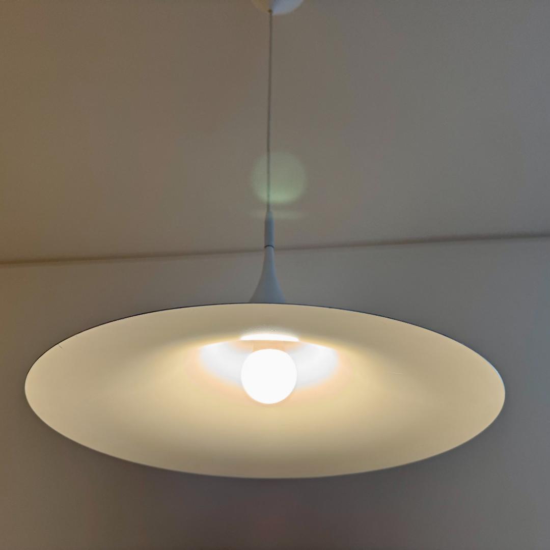 SEMI PENDANT Fog & Morup 47cm セミペンダントライト