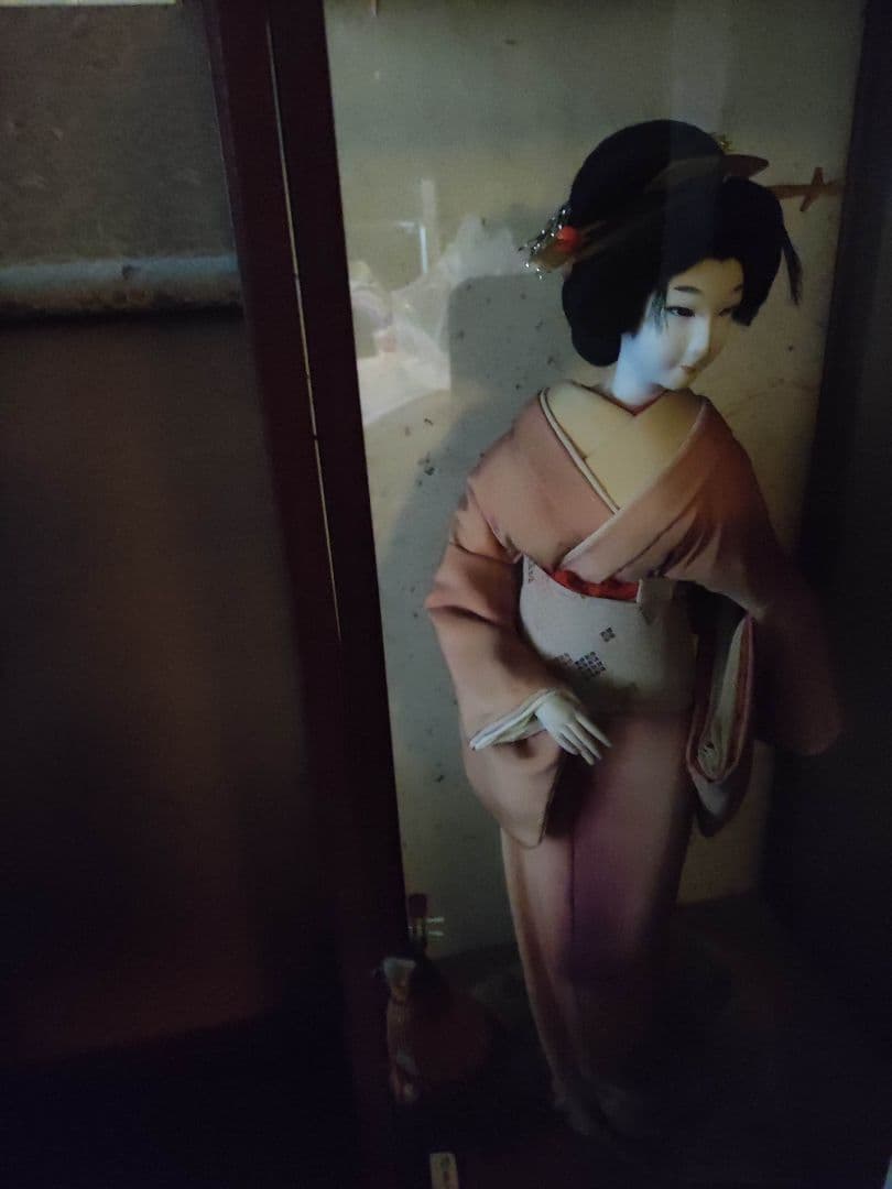 鳥の剥製、日本人形、スズメバチの巣、酒瓶 - メルカリ