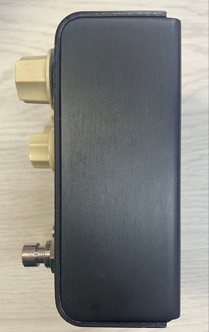 Strymon Flint（ストライモン フリント）付属品完備 美品 中古