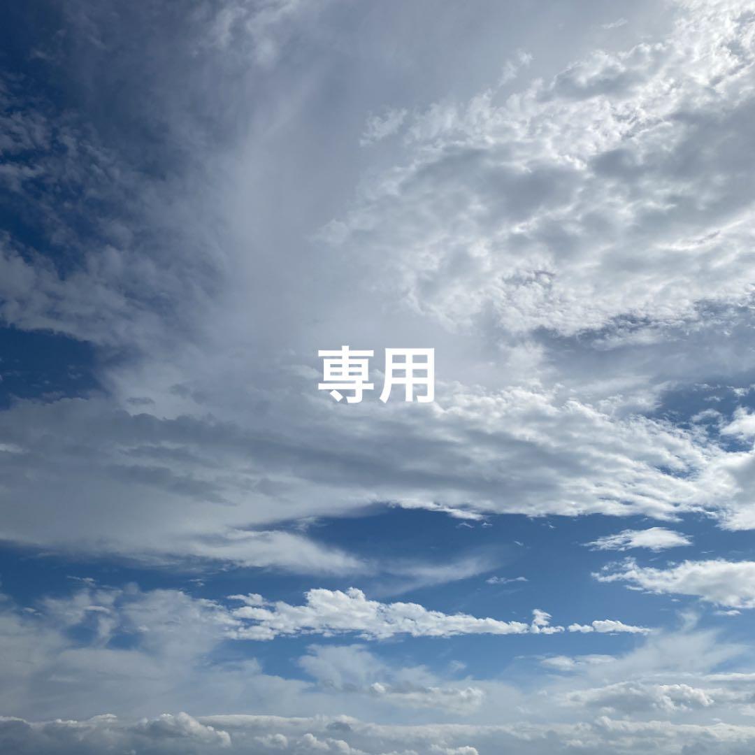 専用♡ 海外マステ♡ホログラム〈M71〉¥530一木一横 terraeagle.com