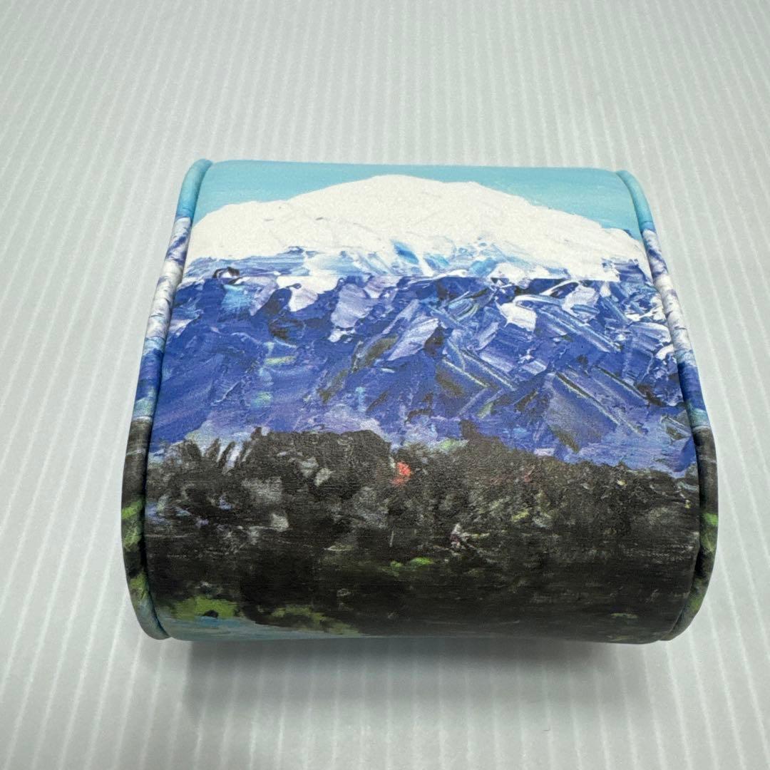 美品 T.Fukami 深見東州 晴天でキラキラしている自由と柴山潟