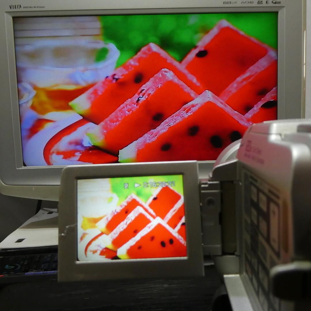 動作品 ソニーDCR-PC110 MiniDV ビデオカメラ DVDダビングに