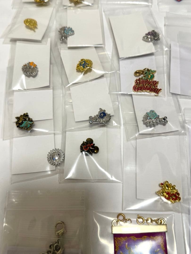 ディズニー 35周年 タイムオブセレブレーション　③