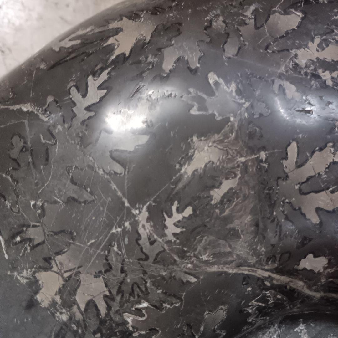 4525）アンモナイトの化石 30kg超え 縫合線 鑑賞石 置物