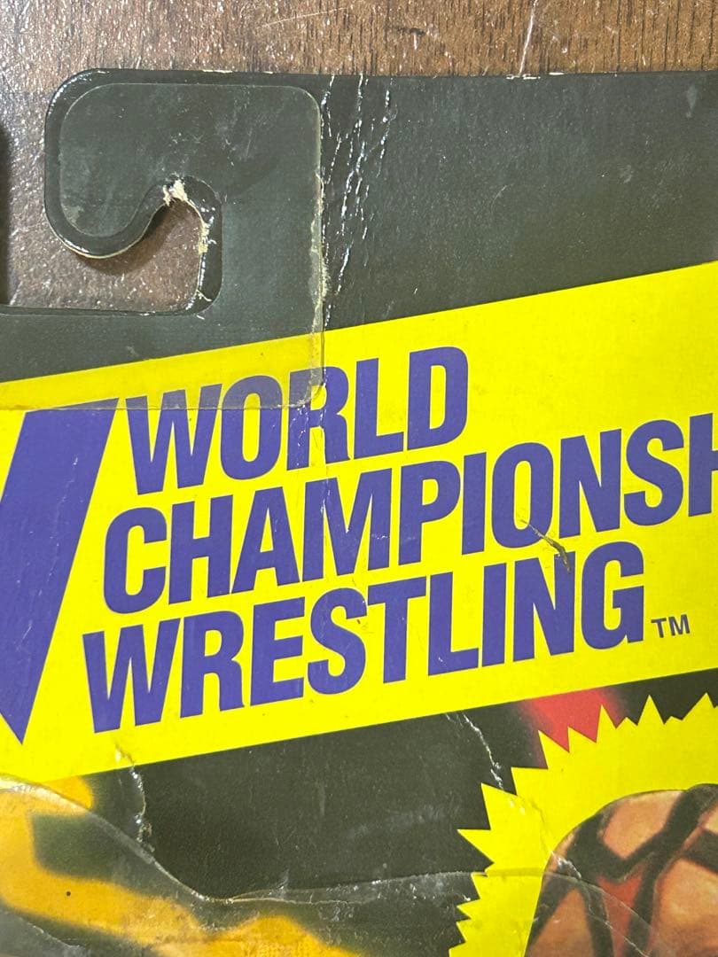 WCW ベイダーコレクティブルフィギュア