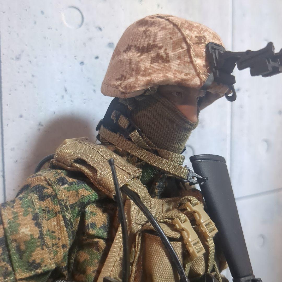 1/6 12インチ SWAT特殊部隊カスタムフィギュア CS98 Amazon | RICHAIR