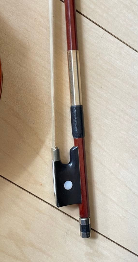 カルロ・ジョルダーノ　エレクトリックバイオリン EV-202