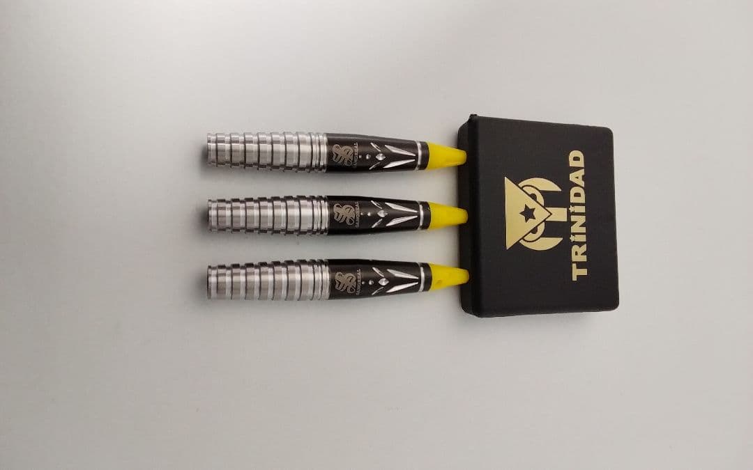 限定価格!サングリアル!坂口優希恵!極美品!新品同品!付録未開封!ダーツ