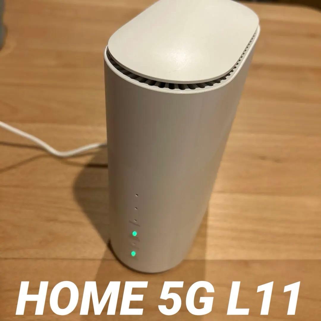 ゴシキエビ 標本 アンティーク