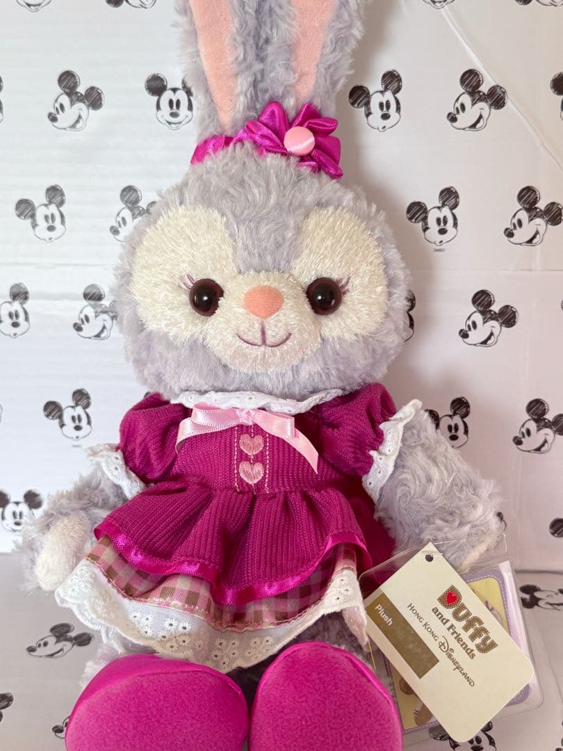 香港ディズニー　ステラルー　バレンタイン