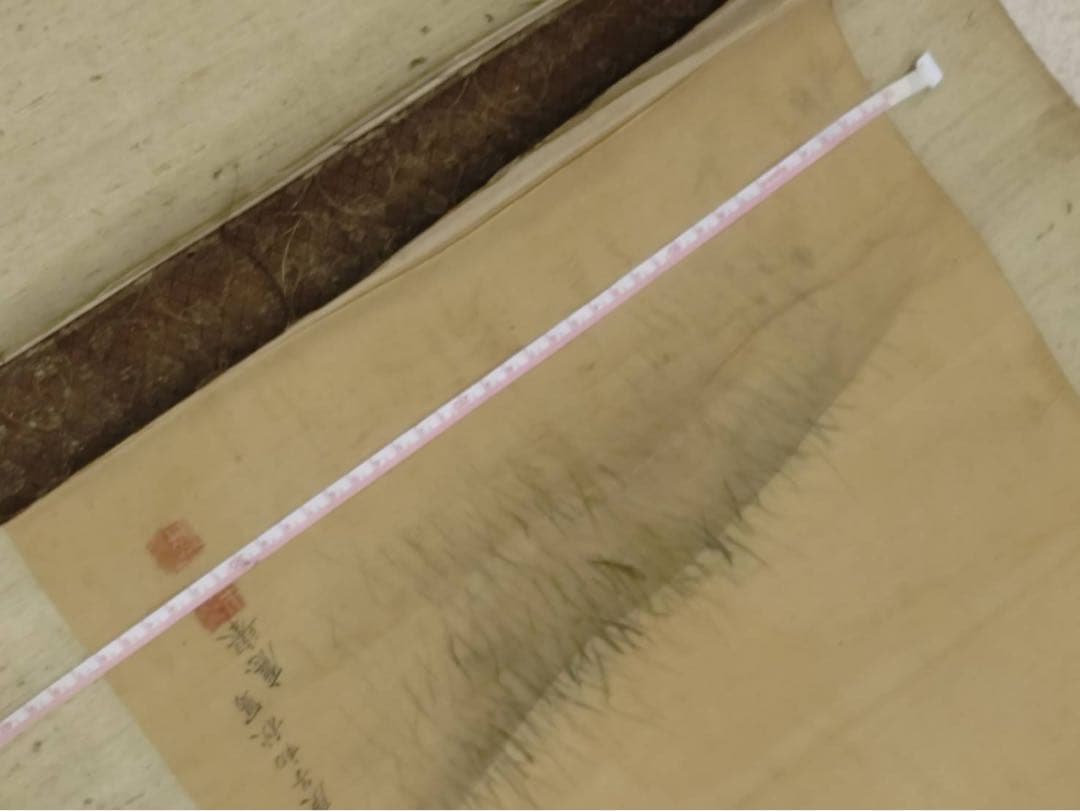 3-2866 掛軸 『庚子初秋写 應舉』 丸山応挙