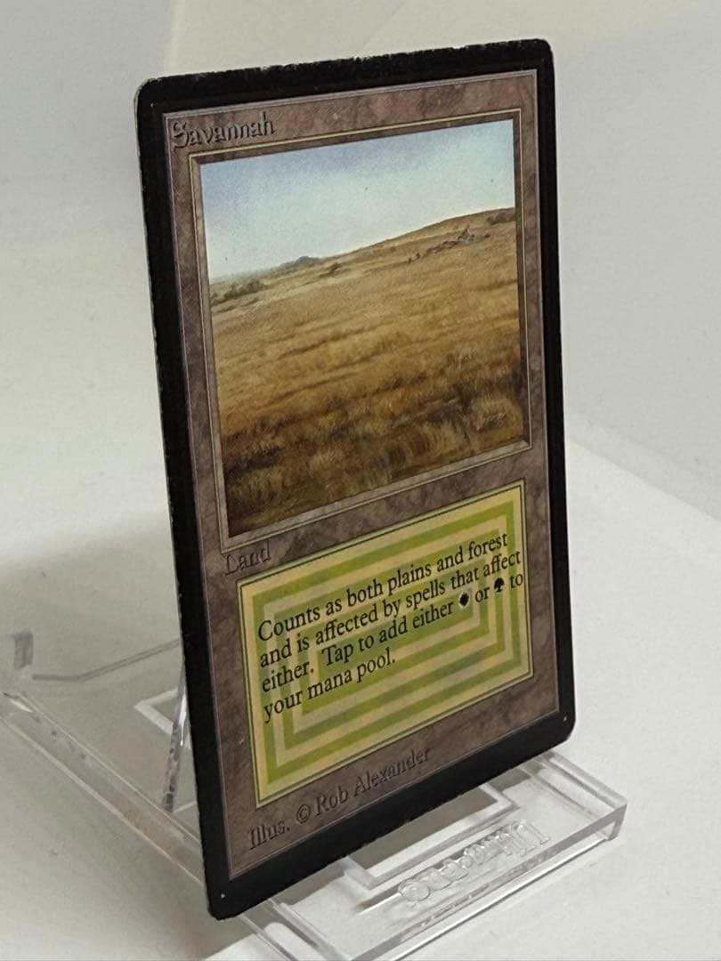 《Savannah》LEB ベータ版　デュアルランド