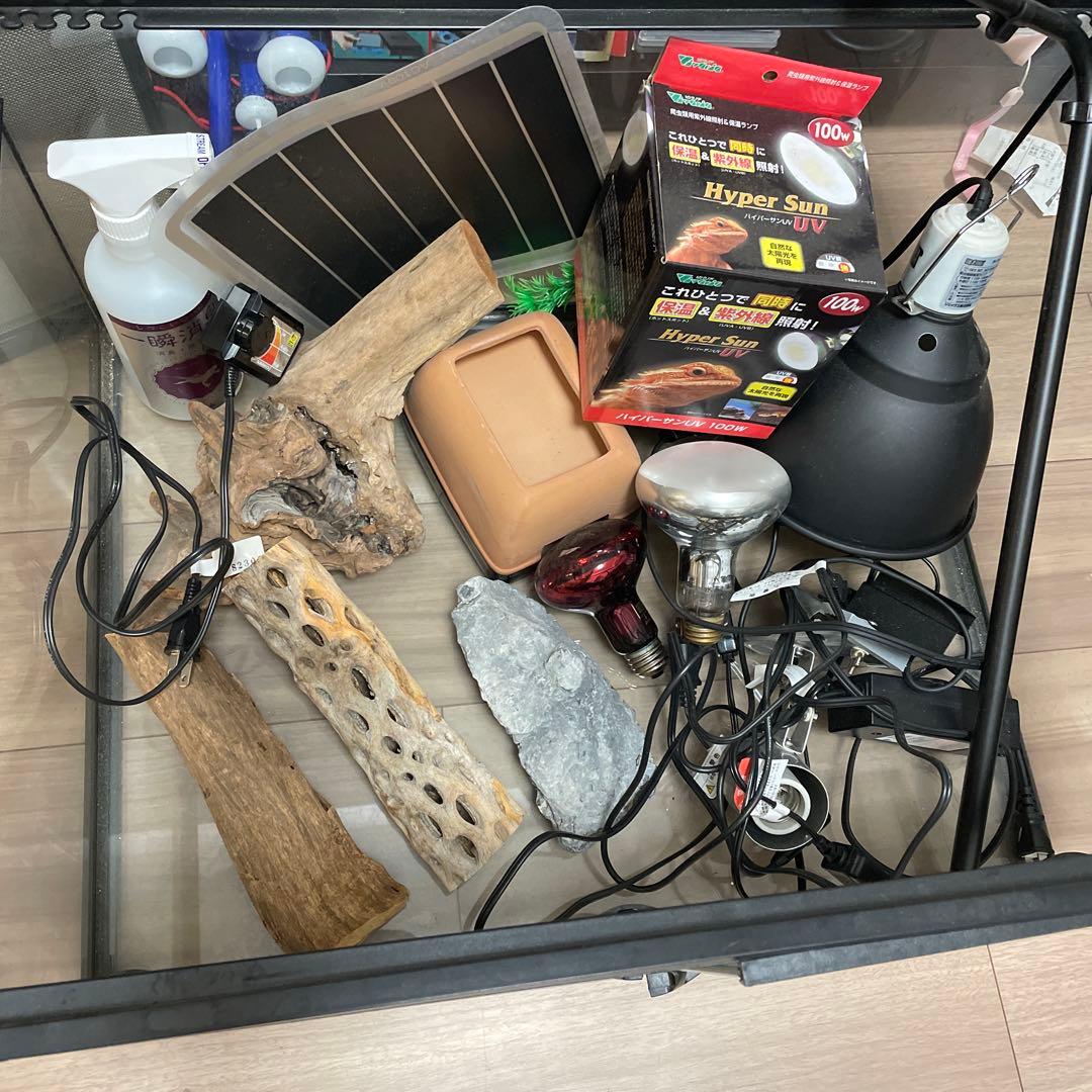 グラステラリウム6045をレビュー】爬虫類を飼うなら最強の飼育ケージ