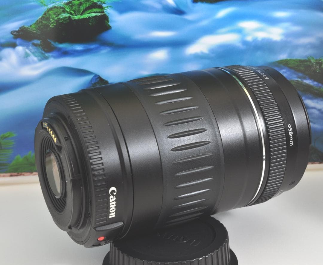 キヤノン 望遠レンズ その一瞬を手に! Canon EF90-300mm USM S115872403