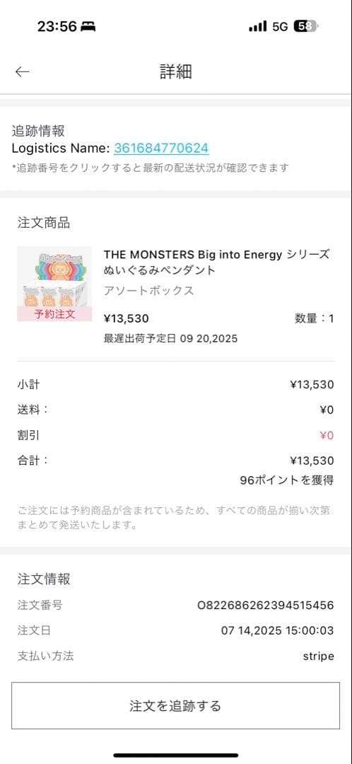 即日発送 LABUBU THE MONSTERS Big into Energy