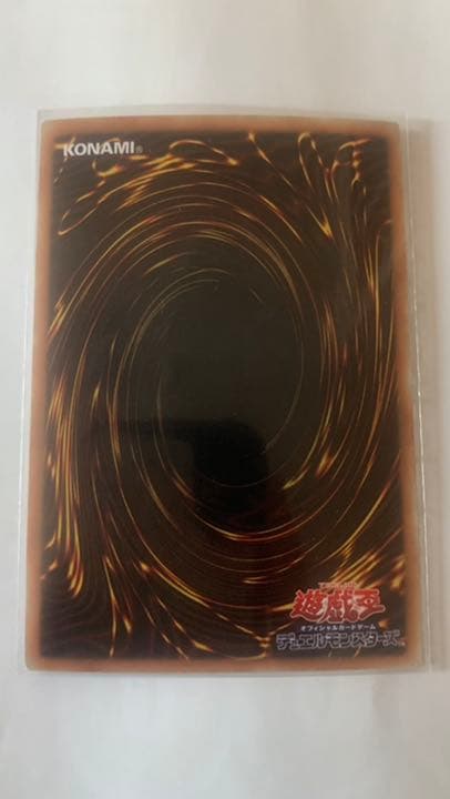 プレミア限定。極美品(2枚セット) 遊戯王 真紅眼の黒竜 ホロ レッドアイズ