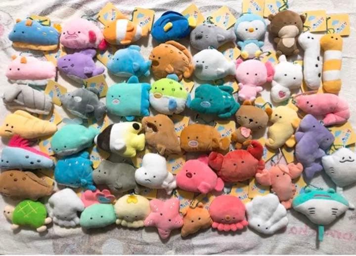 つぶらな瞳の水族館 全48種類